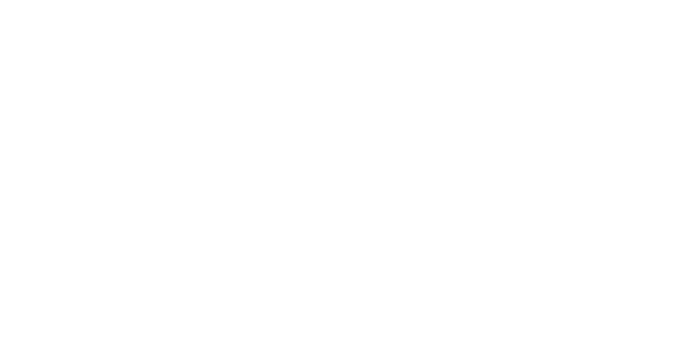 Logo wilis